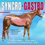 SYNCRO-GASTRO 1.2 Kg