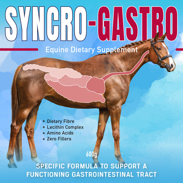 SYNCRO-GASTRO 600g